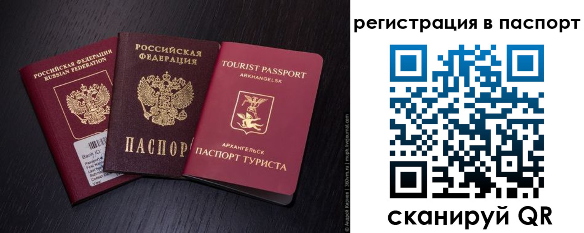прописка в квартире в Ясном